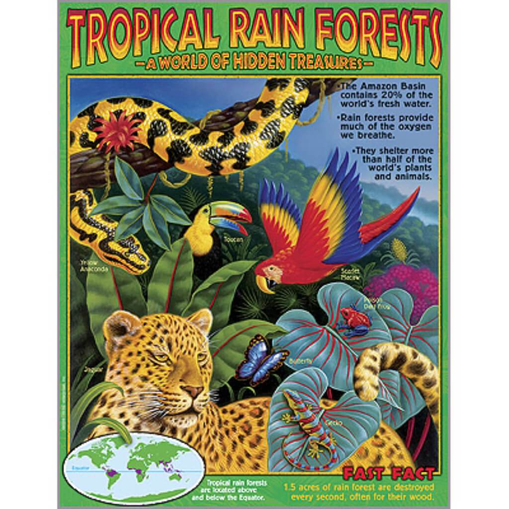 Tropical Rain Forests Learning Chart 