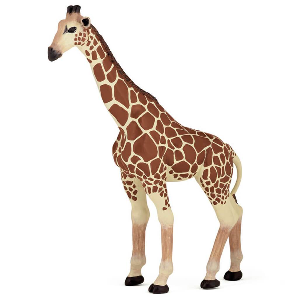 PAPO GIRAFFE 