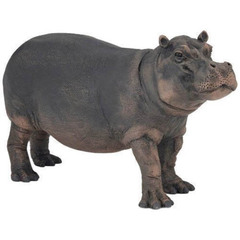 PAPO HIPPOPOTAMUS COW 