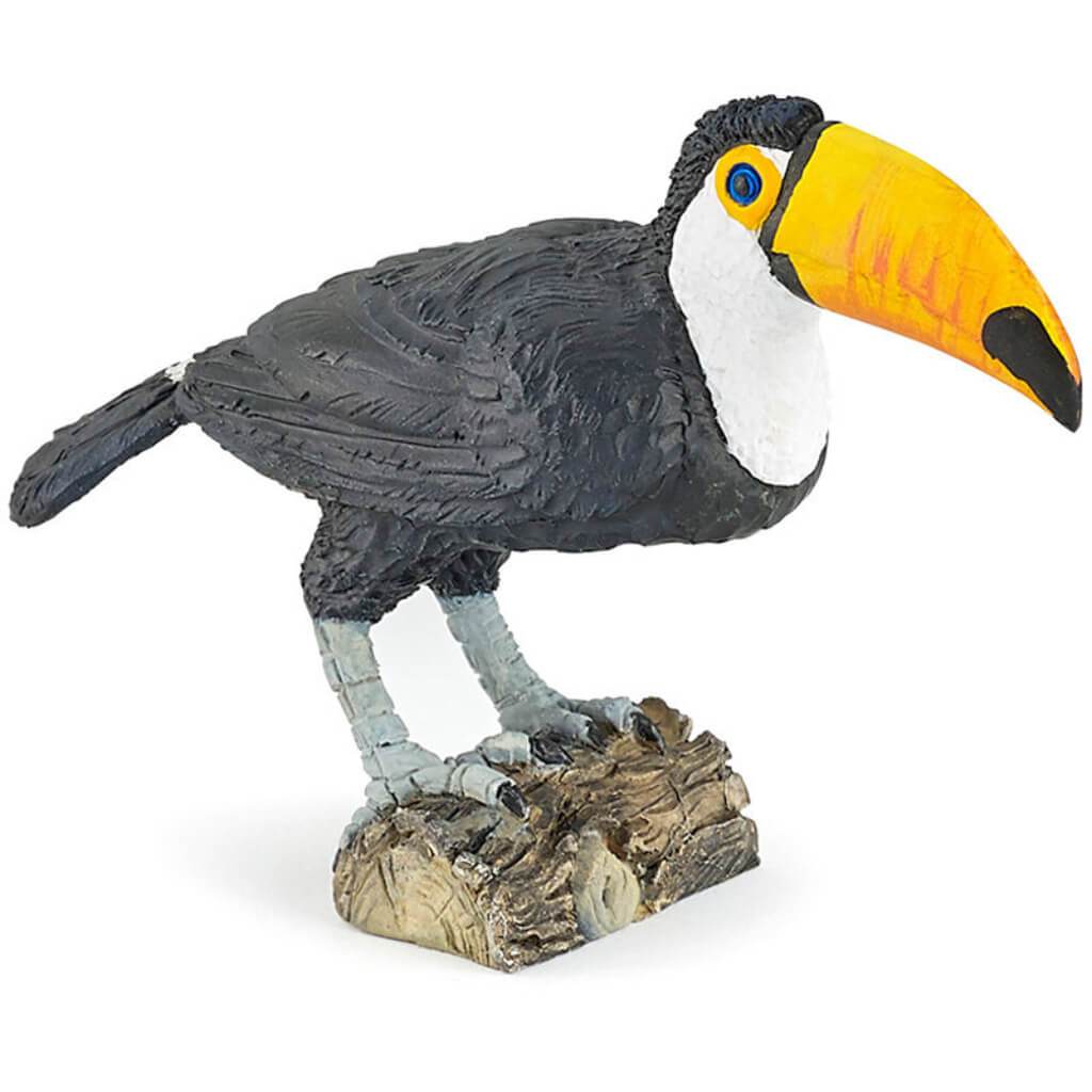 PAPO TOUCAN 