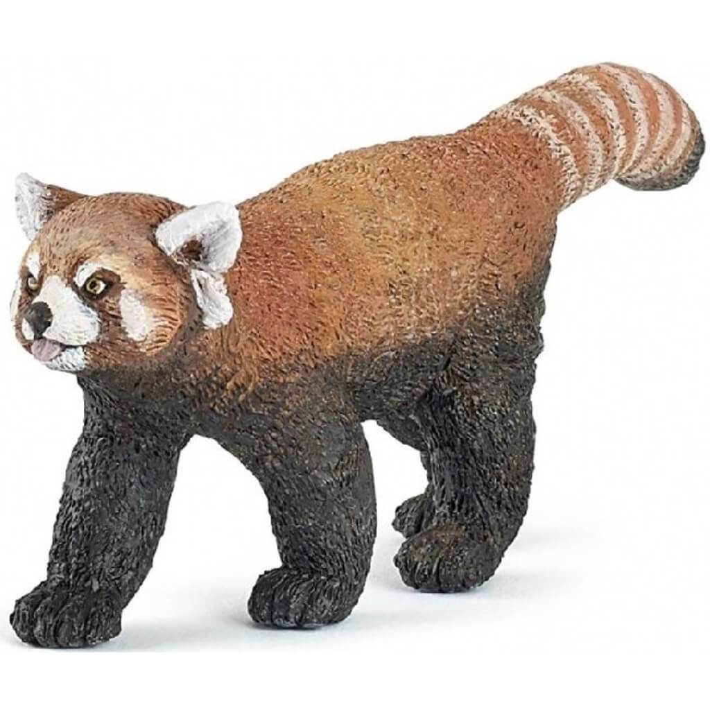 PAPO RED PANDA 