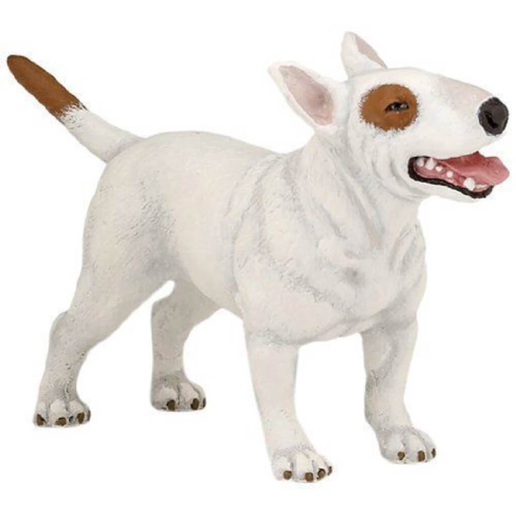 PAPO BULL TERRIER 