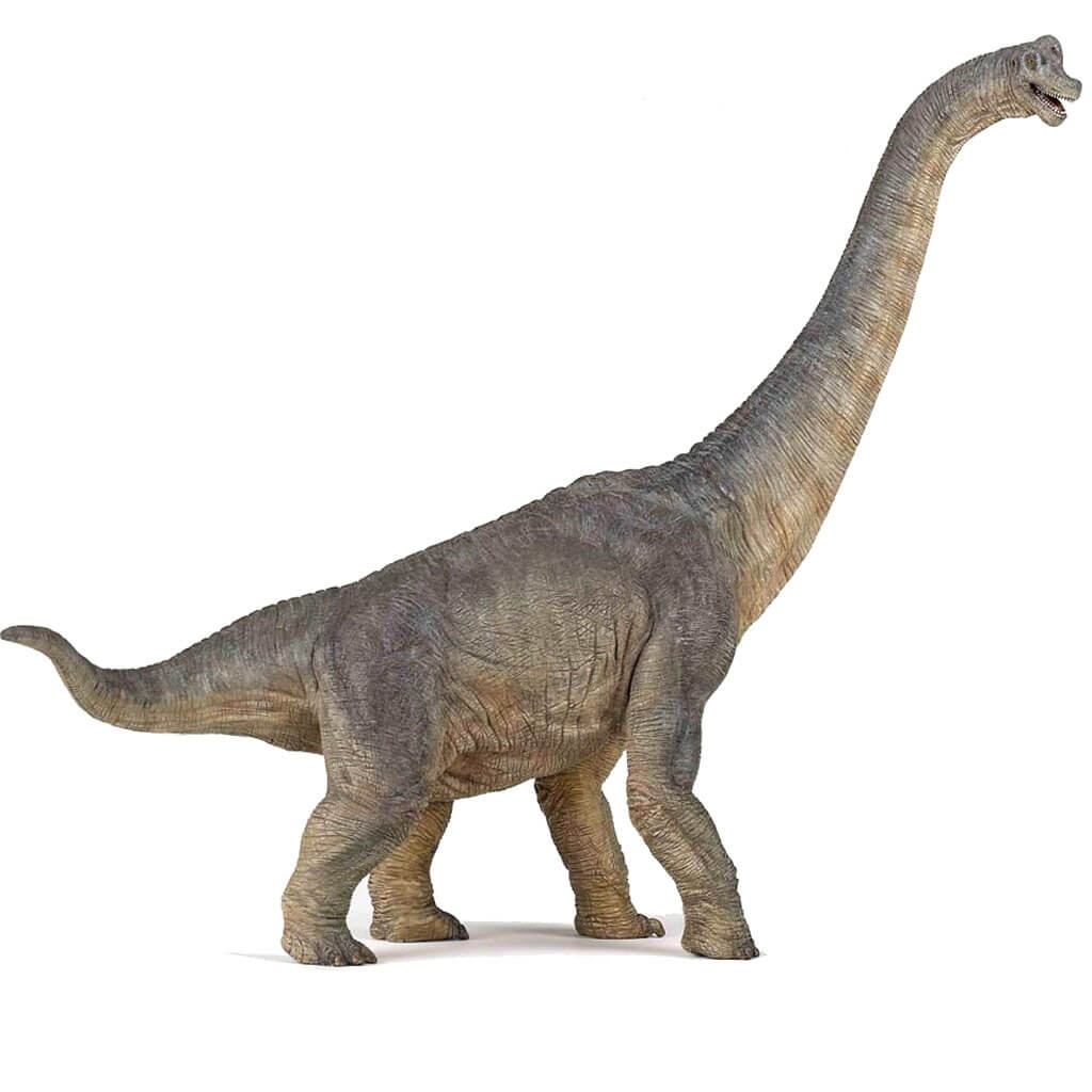 Papo Brachiosaurus