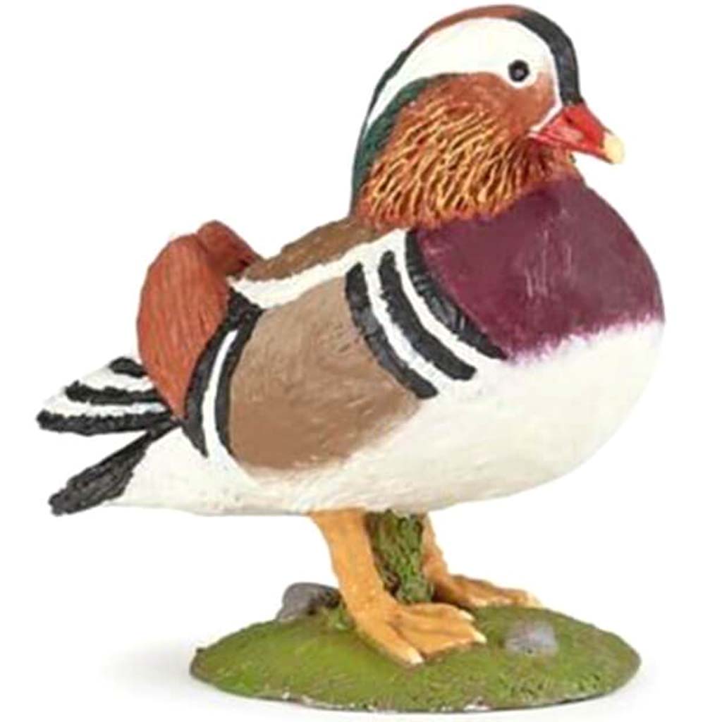 PAPO MANDARIN DUCK 