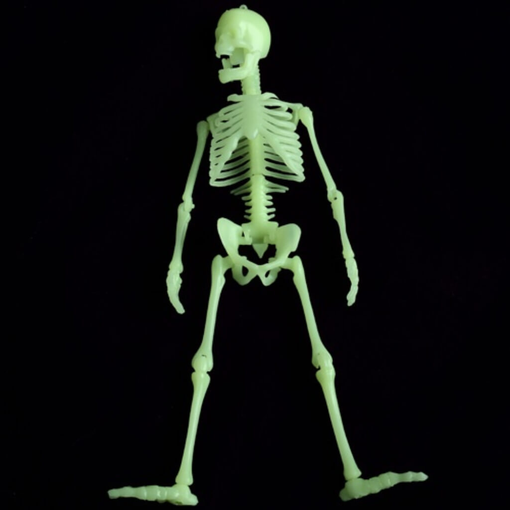 Glow in the Dark Skeleton Box of Bones 