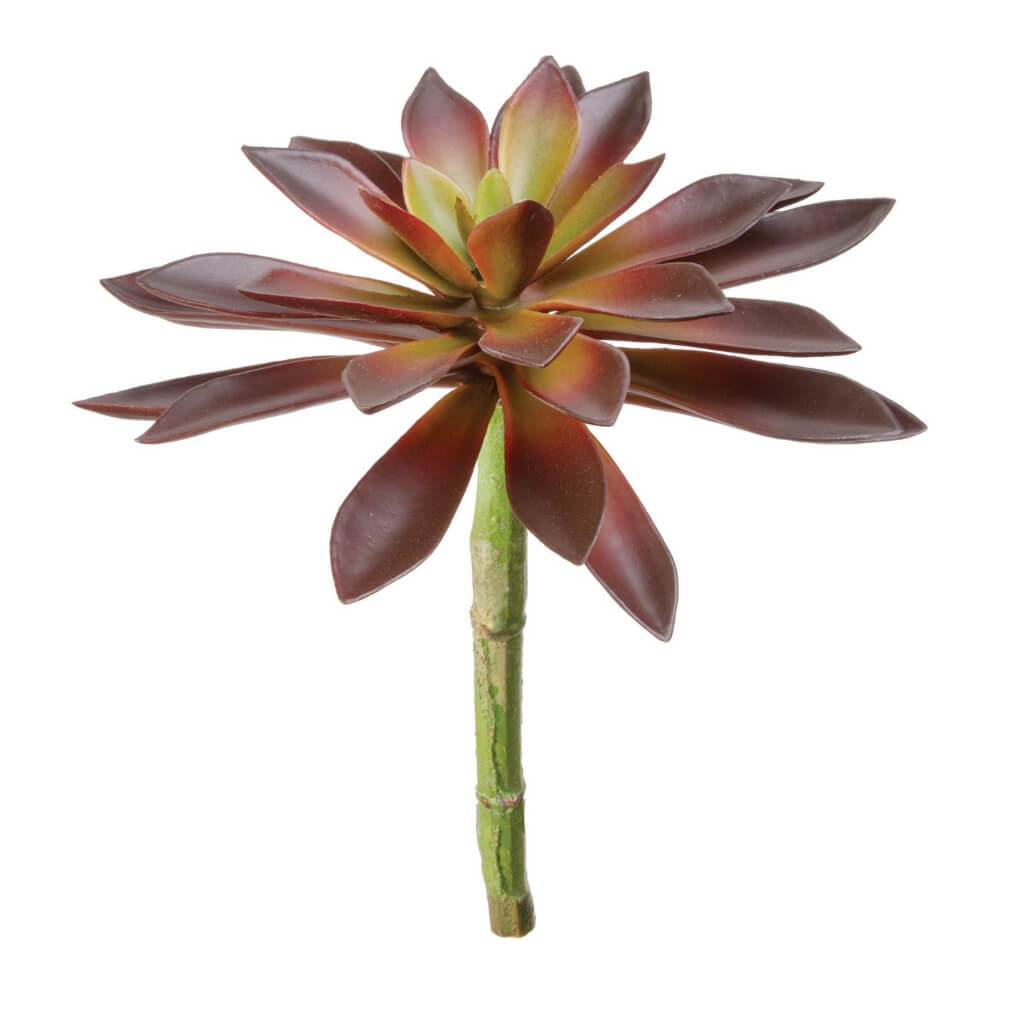 FAUX SUCCULENT AEONIUM ROSETTE BURGUNDY 8IN 