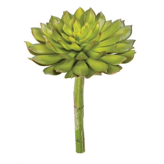 FAUX SUCCULENT AEONIUM ROSETTE RED-TIPPED GREEN 5.75IN 