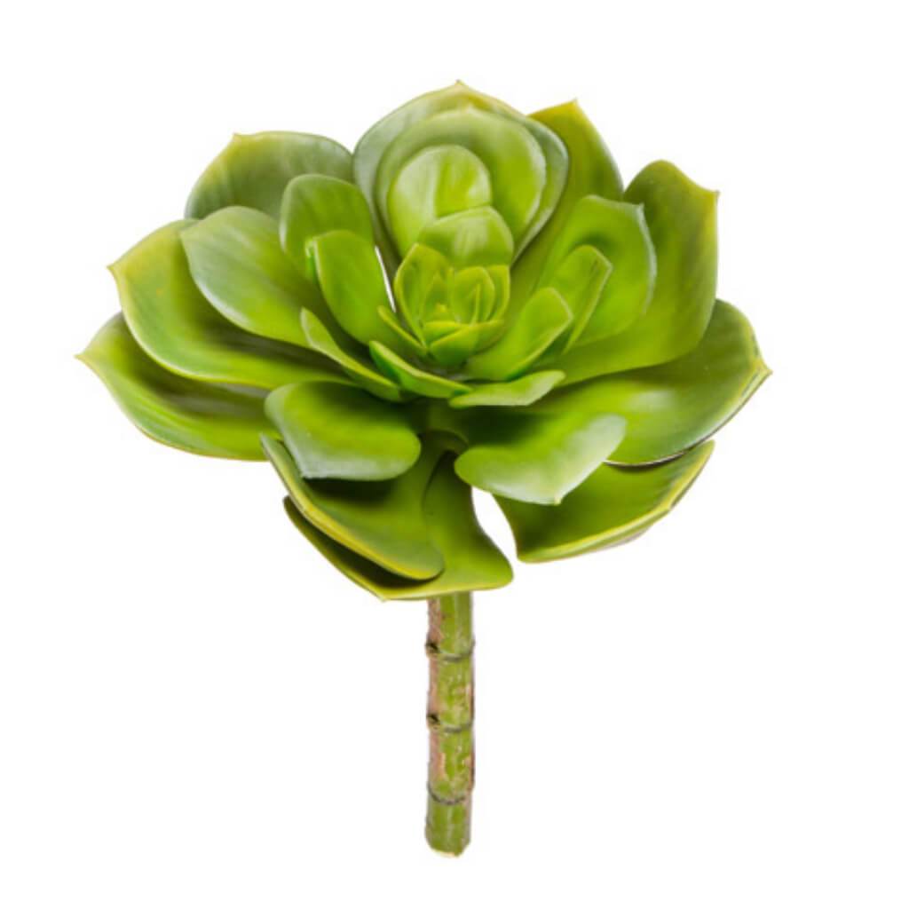 FAUX SUCCULENT ECHEVERIE ROSETTE GREEN 7IN 