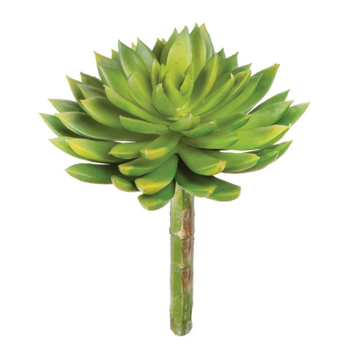 FAUX SUCCULNT ECHEVARIA ROSETTE GREEN 5.5IN 