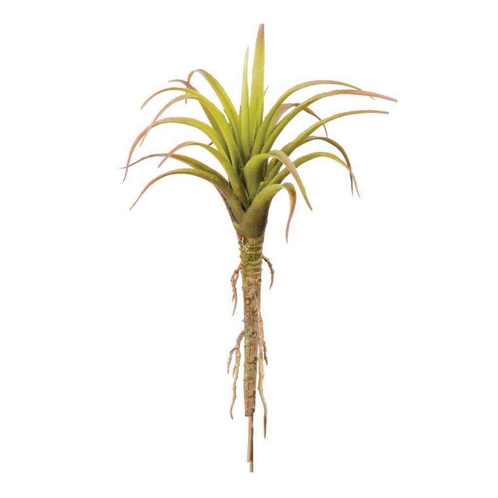 FAUX SUCCELENT TILLANDSIA AIR GREEN 7.87IN 