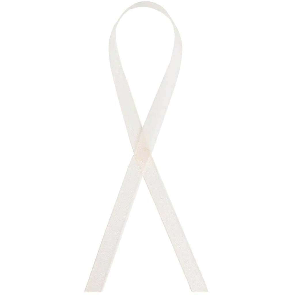 SHEER RIBBON ORGANZA 1/4INX5YD WHITE 