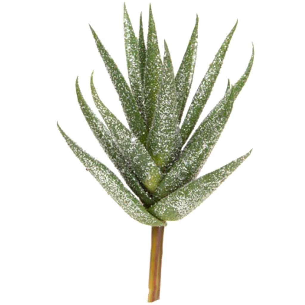 Spiked Aloe Glitter Christmas Succulent 6in 