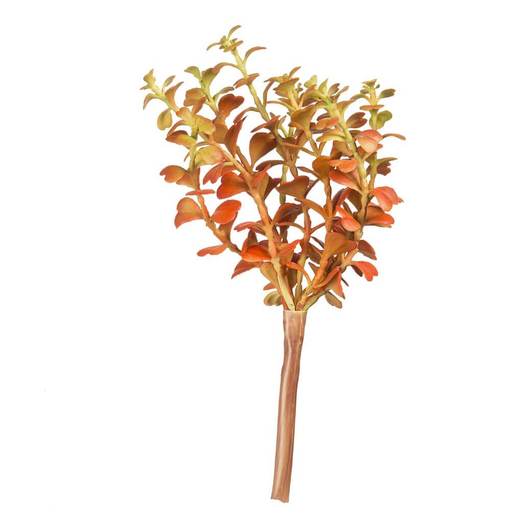 SUCCULENT WIRED MULRIBRANCH W/ VARIEGATED ORANGE LEAVES 