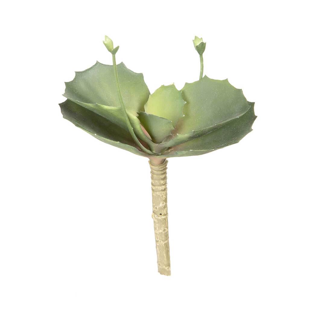 SUCCULENT GREEN ROSETTE W/ SPIKED LEAF 7.5IN 