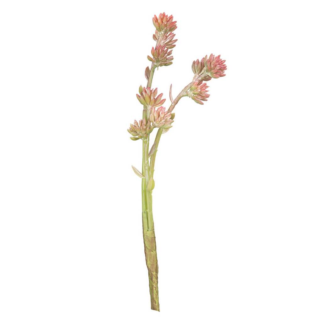 SUCCULENT TALL BRANCH W/RED &amp; GREEN ROSETTES 