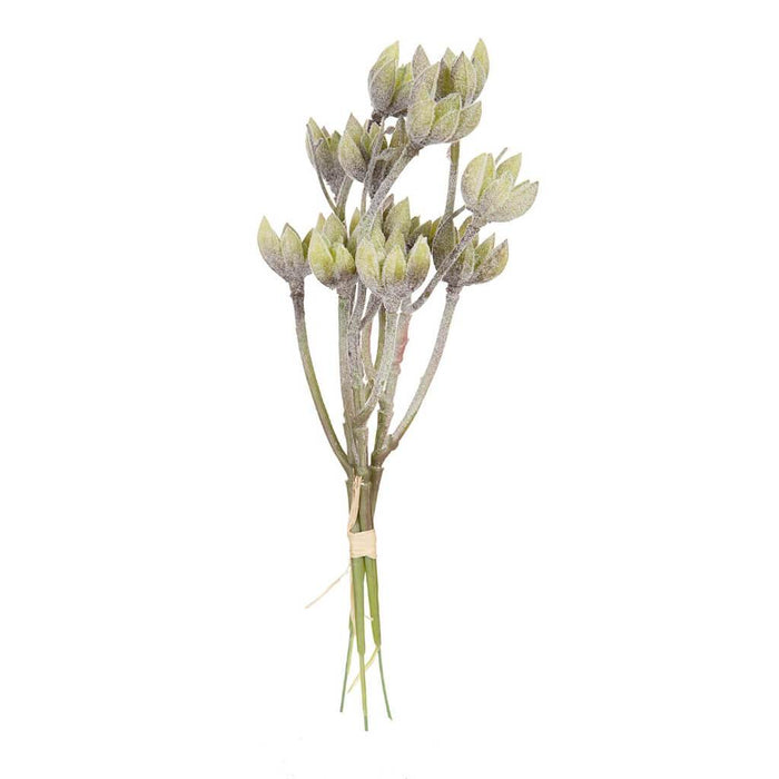 SUCCULENT BUNDLE FLOCKED PURPLE & GREEN SUCCULENT BUNDS 