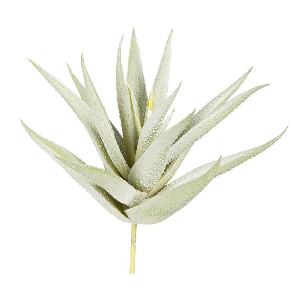 SUCCULENT FROSTED GEEN TEXTURE ALOE PICK 