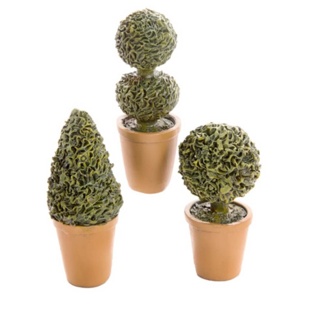 MINI POTTED SHRUBS &amp; TOPIARIES 3 ASSORTED 