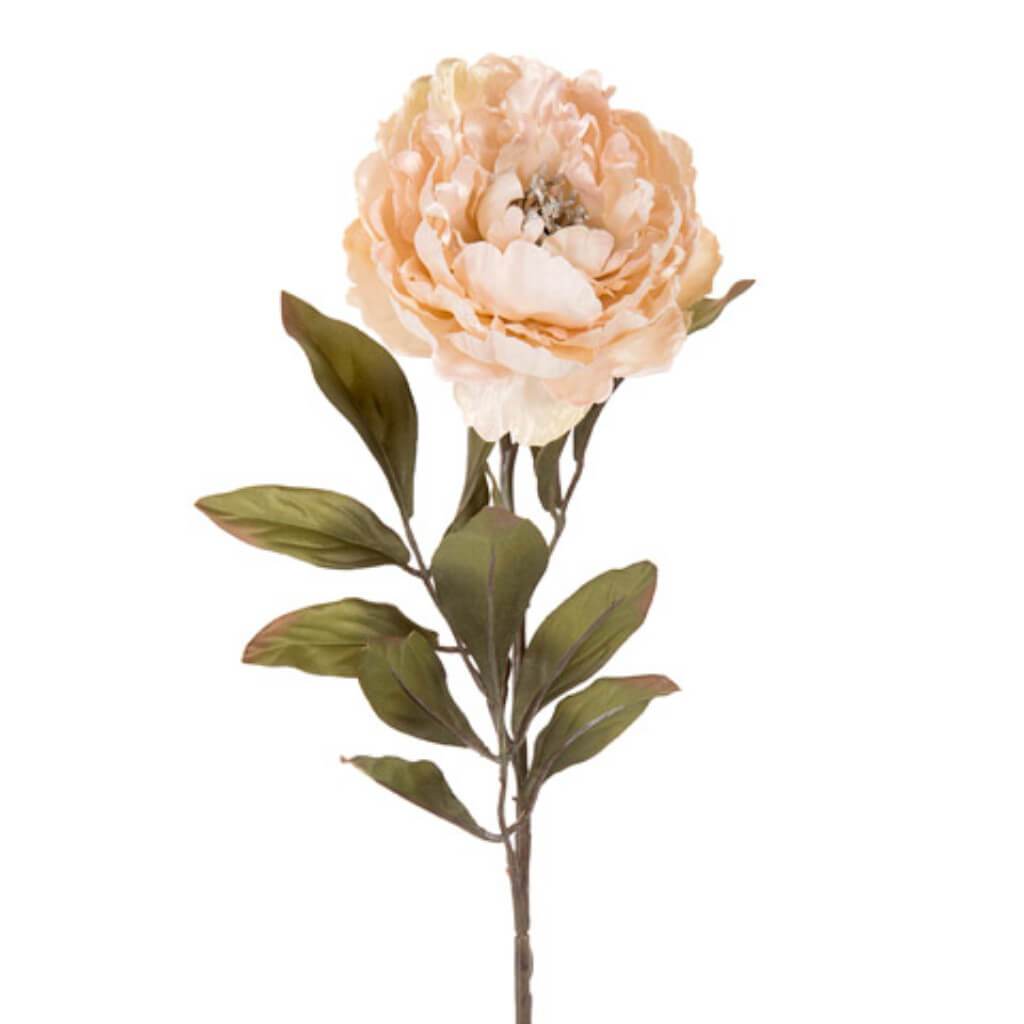 Artificial Peony Long Stem: Glitter Cream 26 inches 