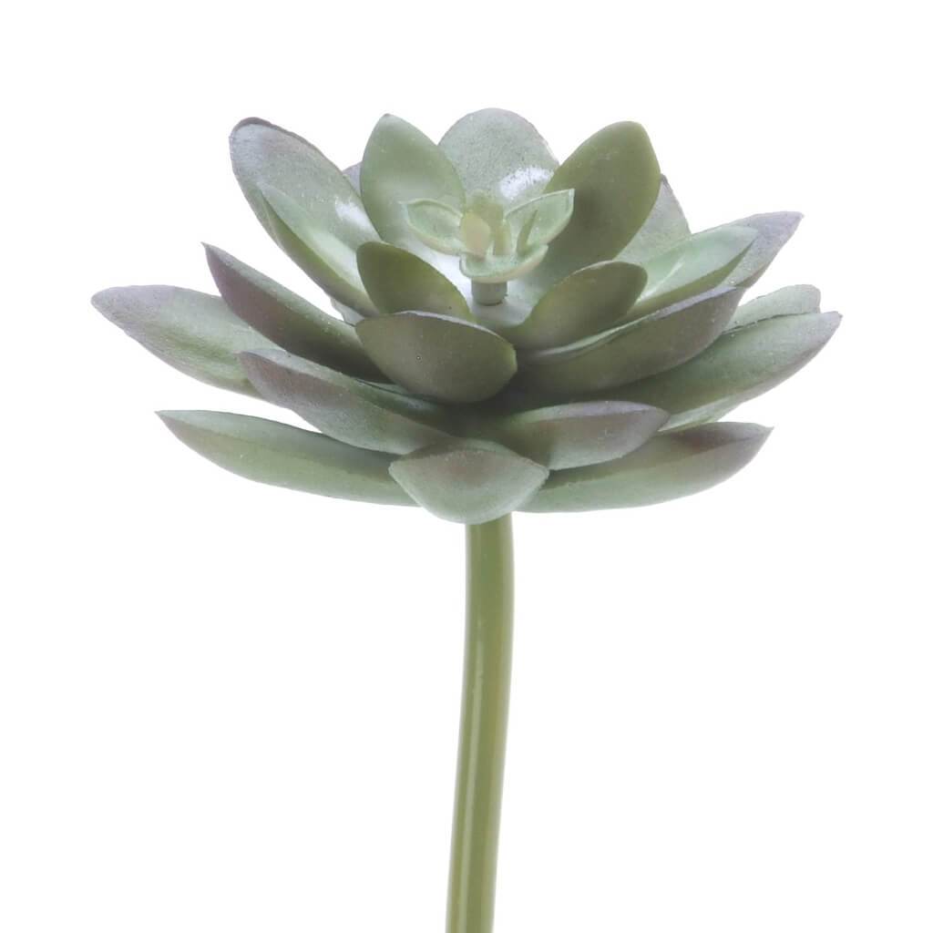 SUCCULENT LOTUS ROSETTE 4.5IN DARK GREEN 