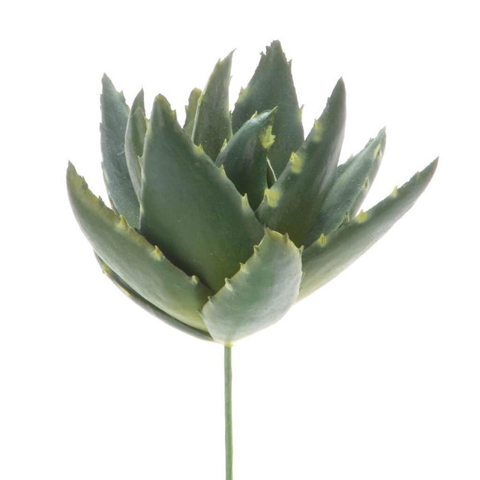 SUCCULENT AGAVE PICK W/SPIKES BLUE GREEN 