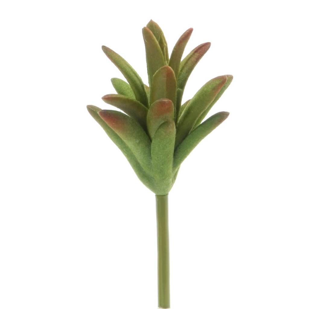 SUCCULENT PICK W/ROUNDED SPIKE GREE W/RED TIPS 6IN 