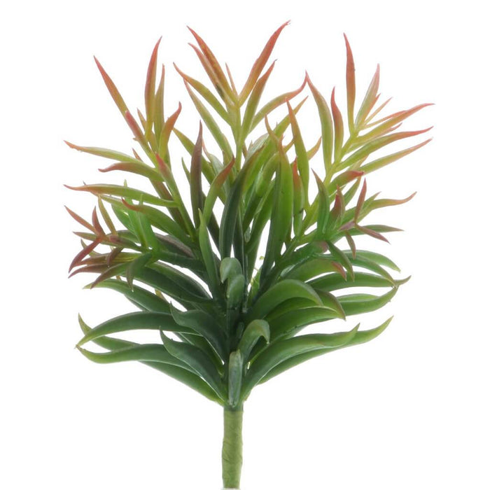 SUCCULENT SENECIO W/RED TIPS GREEN 7.5IN 