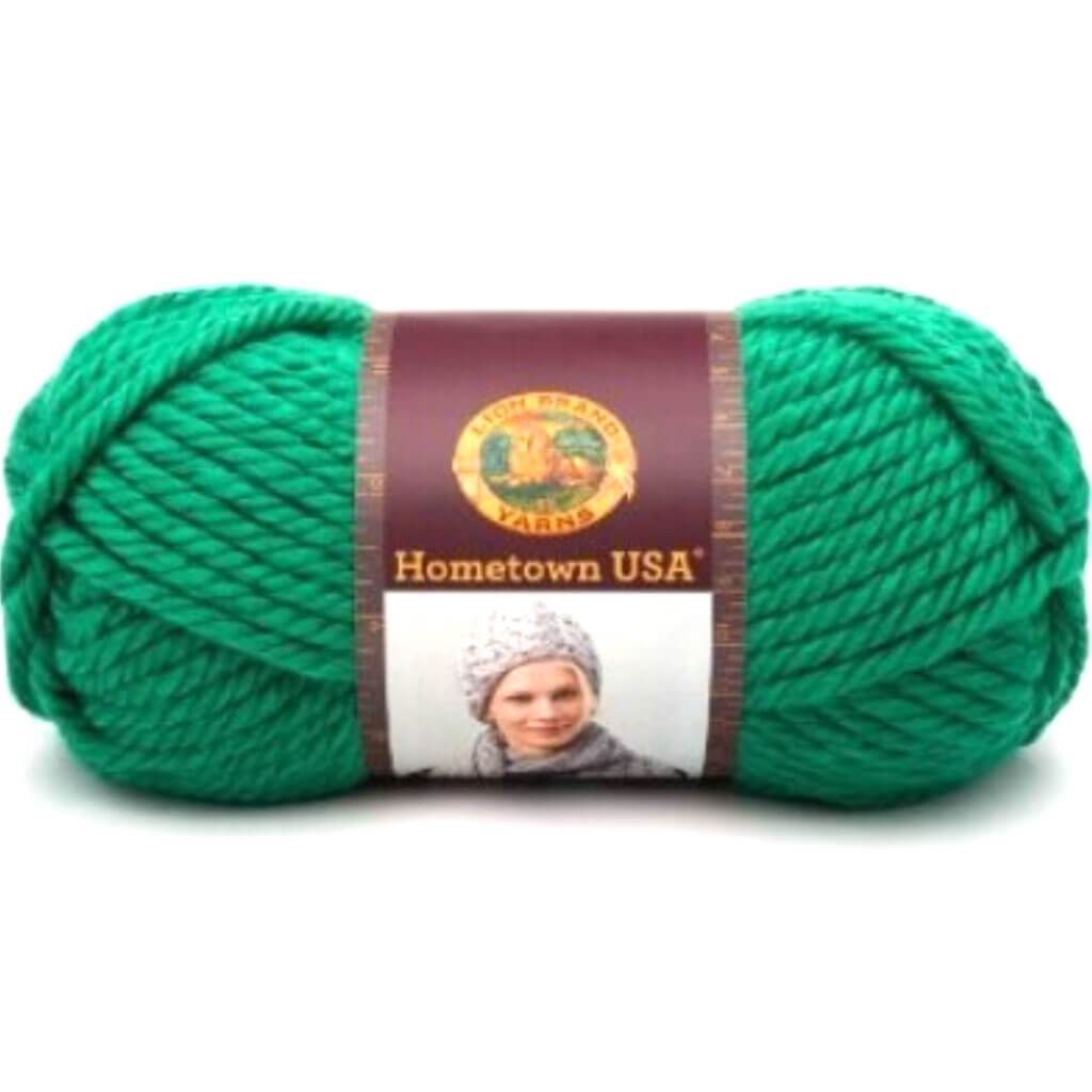 Lion Brand Hometown Yarn Green Bay Green