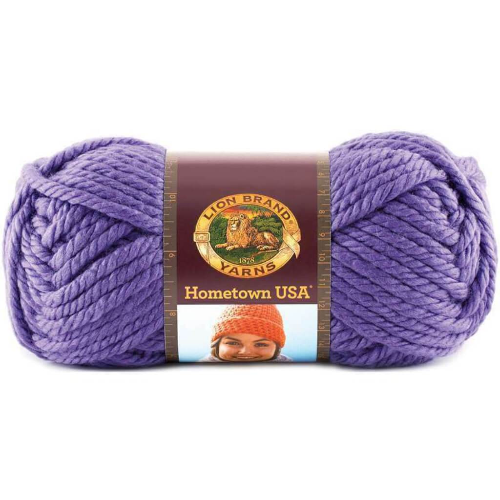 Lion Brand Hometown Yarn Minneapolis Purple