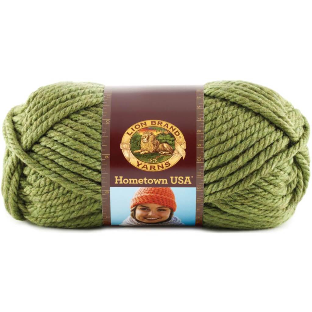 Lion Brand Hometown Yarn Oklahoma City Green