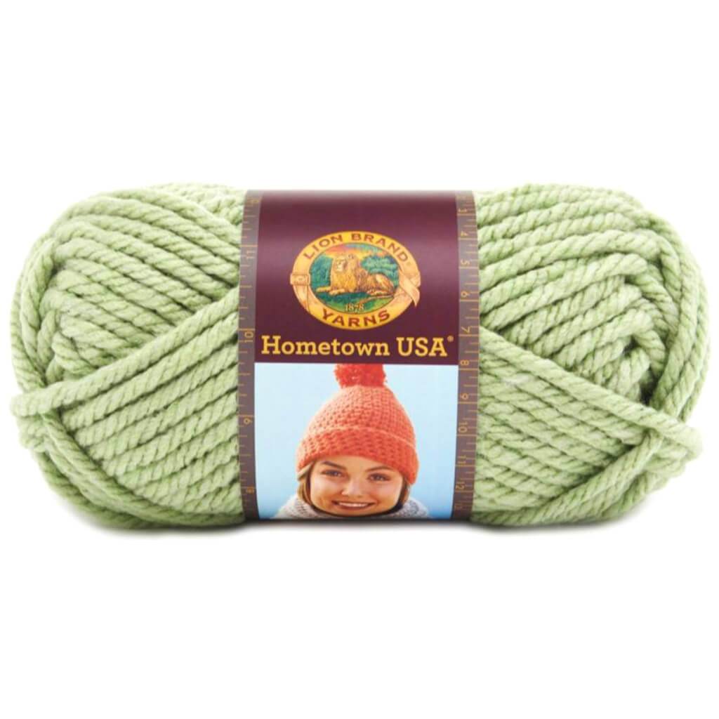 Lion Brand Hometown Yarn Savannah Sage