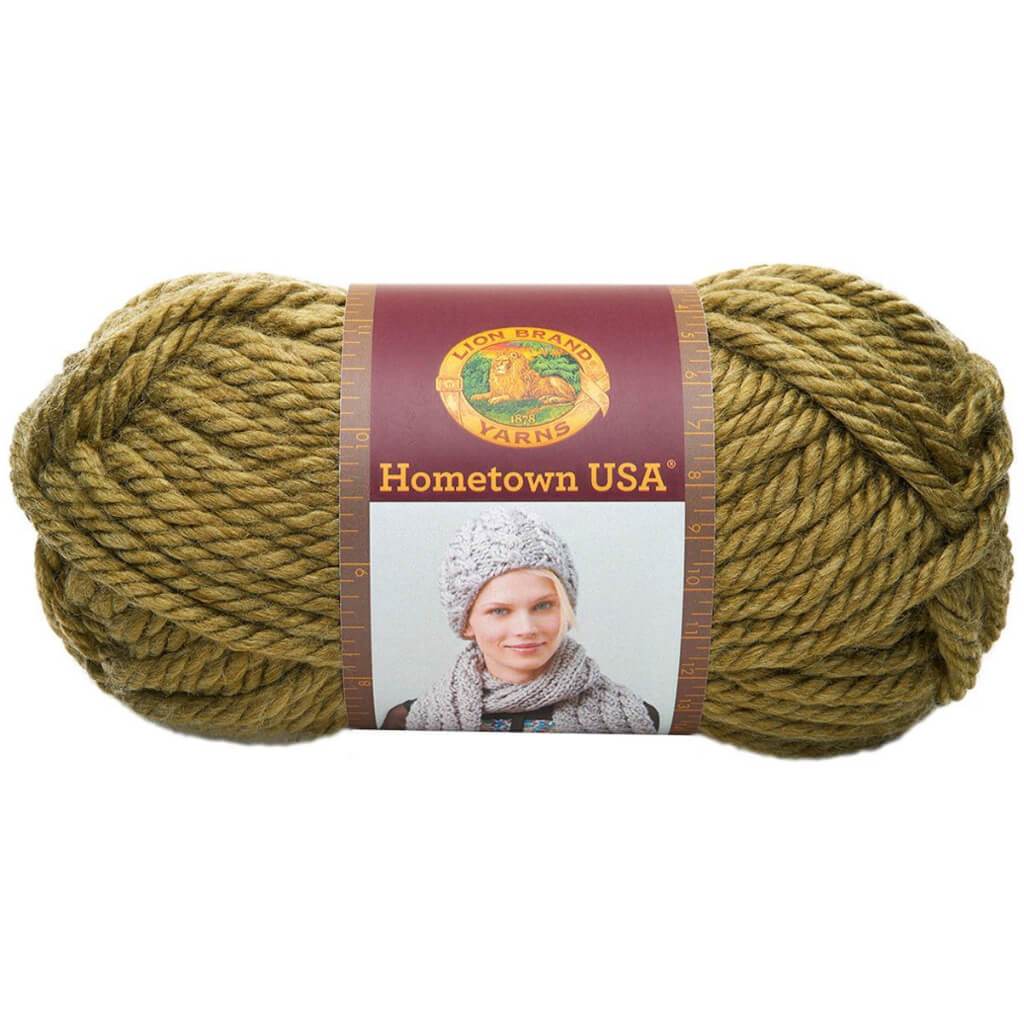 Lion Brand Hometown Yarn Galveston Green