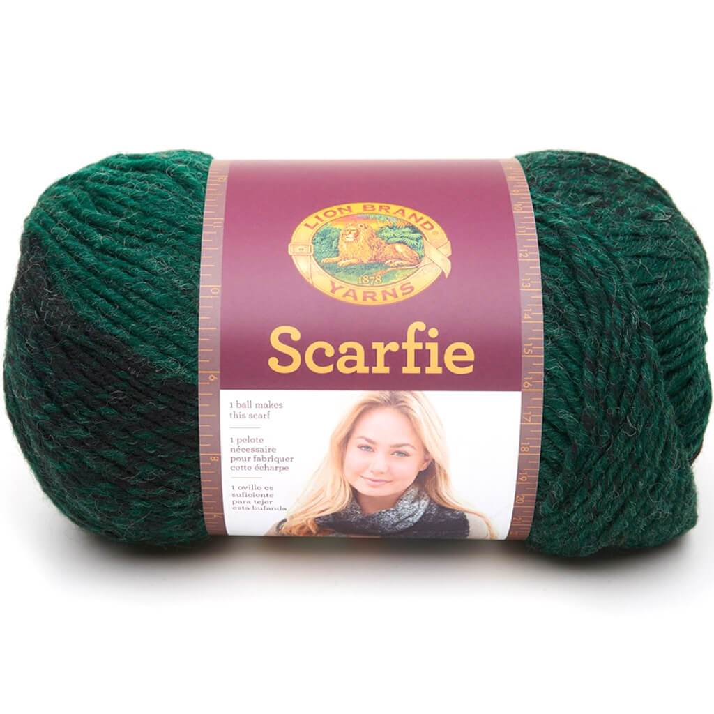 Lion Brand Scarfie Yarn Forest/Black