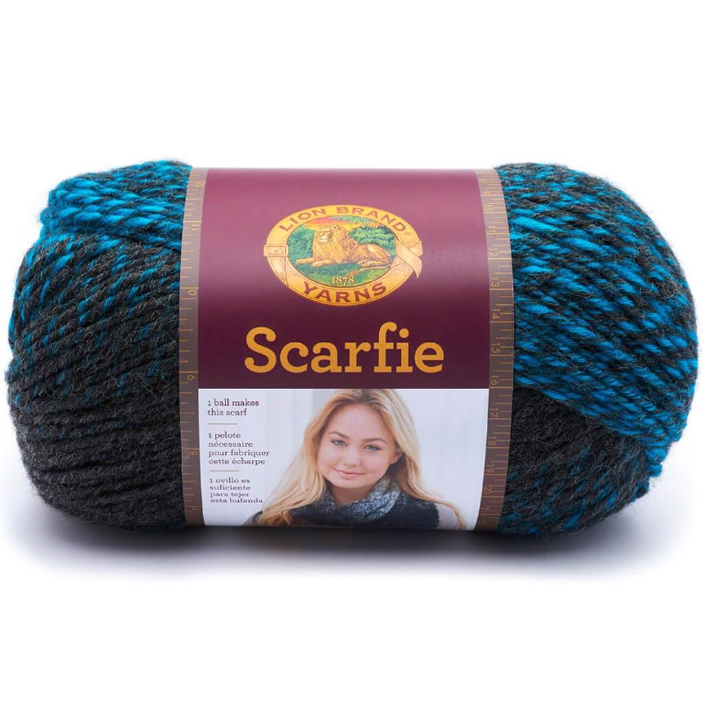 Lion Brand Scarfie Yarn Charcoal/Aqua