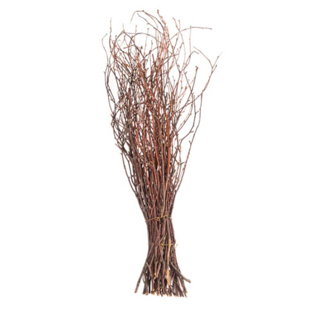 Decorative Grapevine Bundle 25 inches 