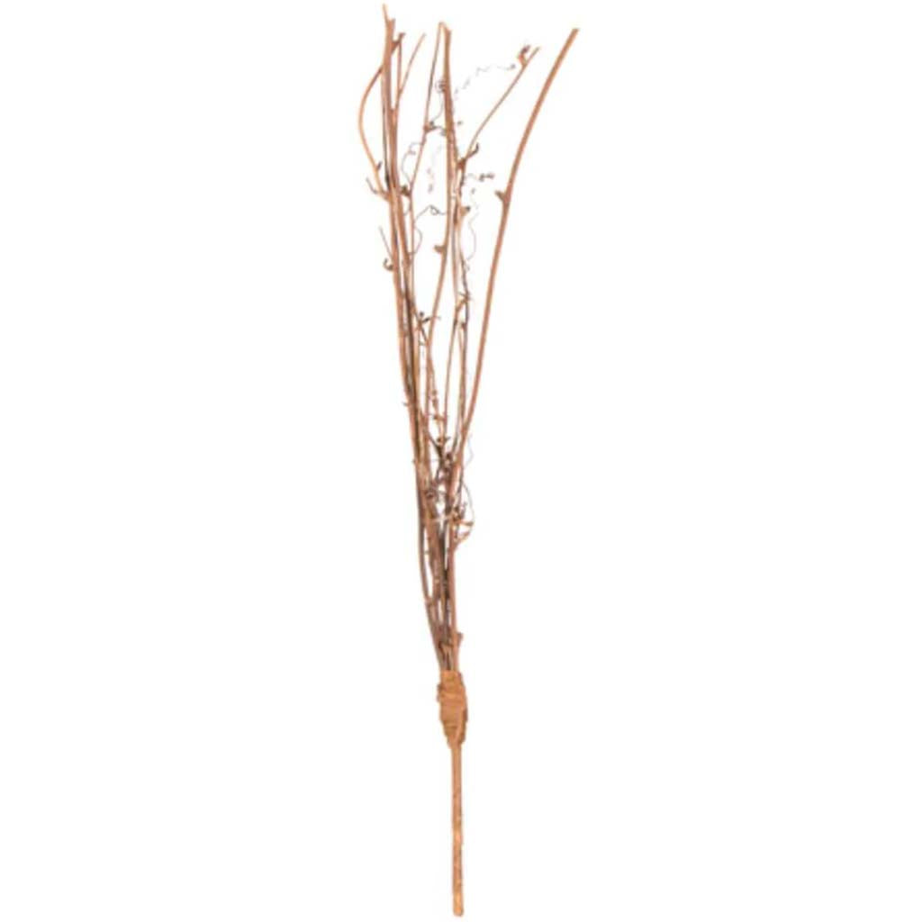 Floral Designer Twig Pick Natural 