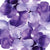 Loose Rose Petals Purple 300 pcs 