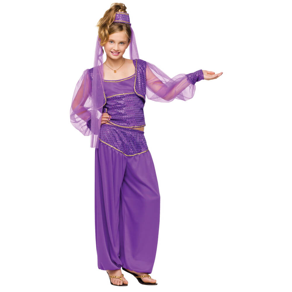 Dreamy Genie Costume