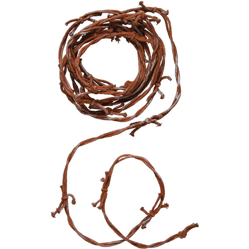 Rusted Barbed Wire 12in 