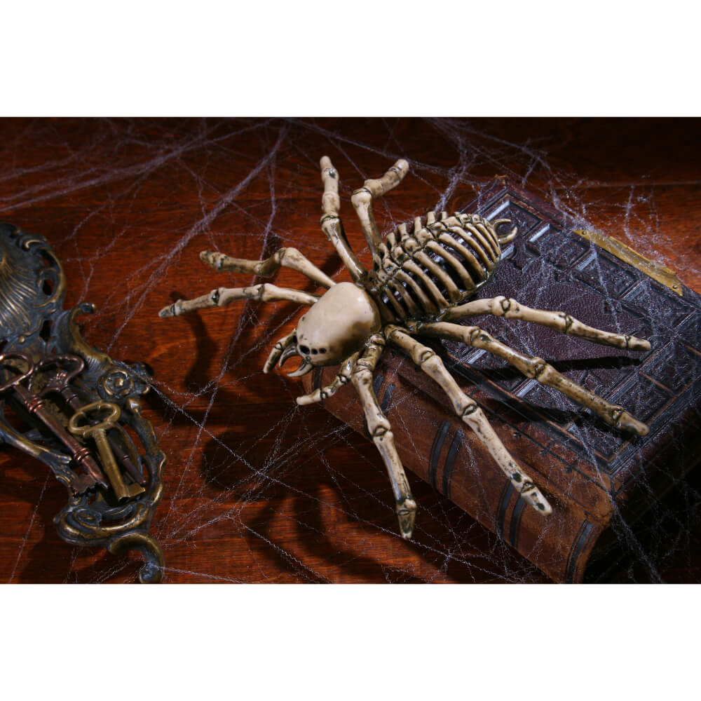 Spider Skeleton 9in 