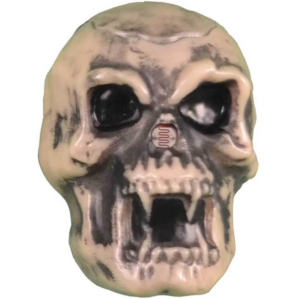 Hidden Screamers Skull 