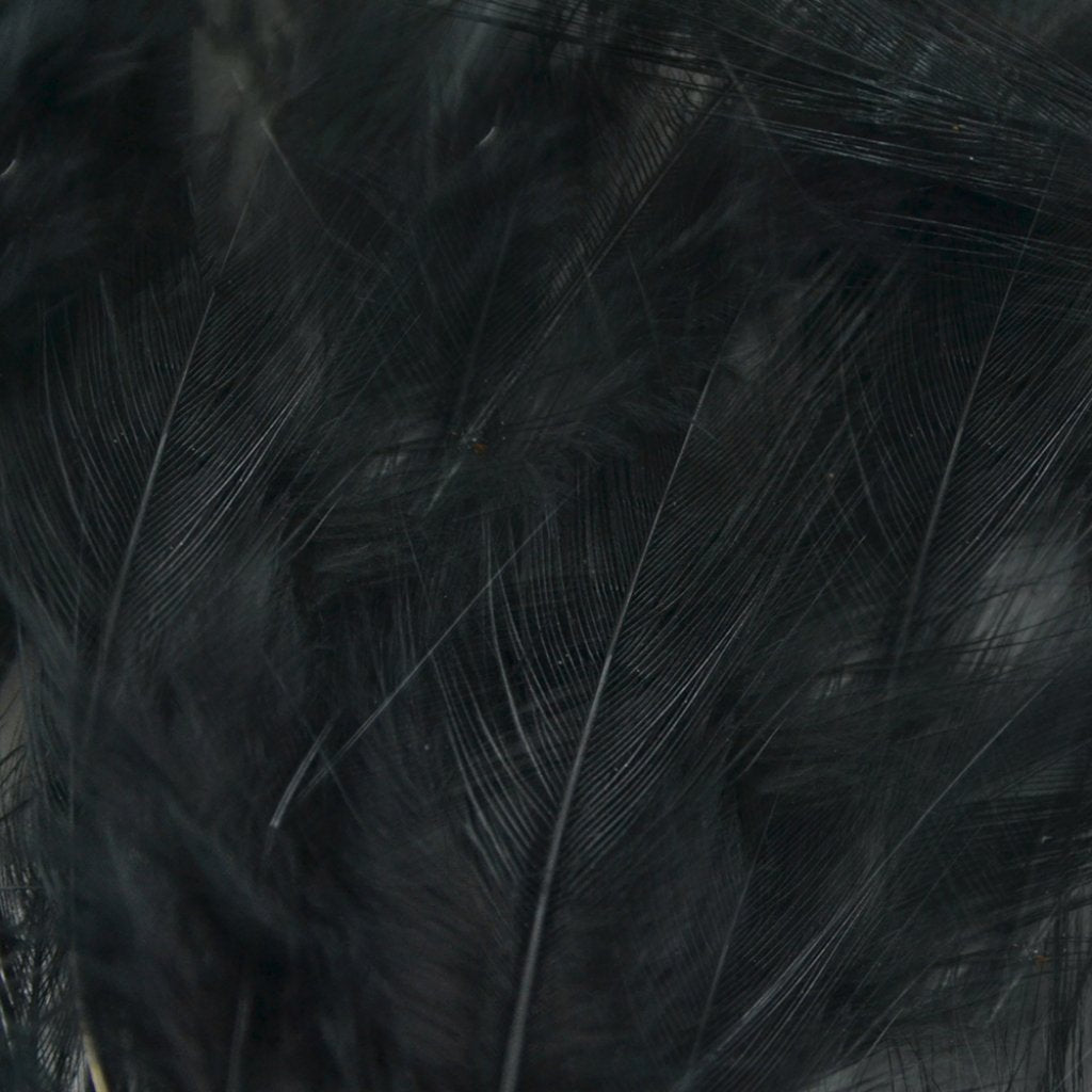 Feather Dyed Saddle Hackle 7Gm Black 