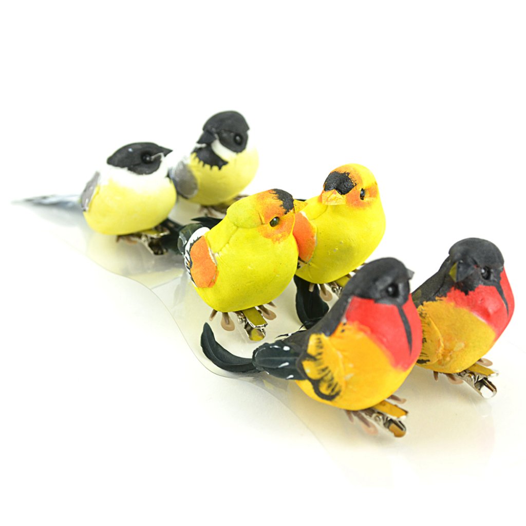 Natural Bird Assortment With Feet &amp; On A Clip 6Pc 3.25â€?-4â€? 