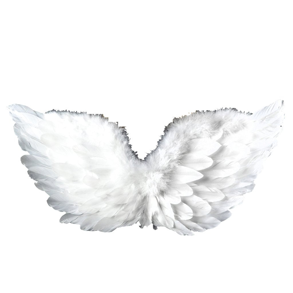 Feather Adult Angel Wing W/Elastic Straps 28X16in White 