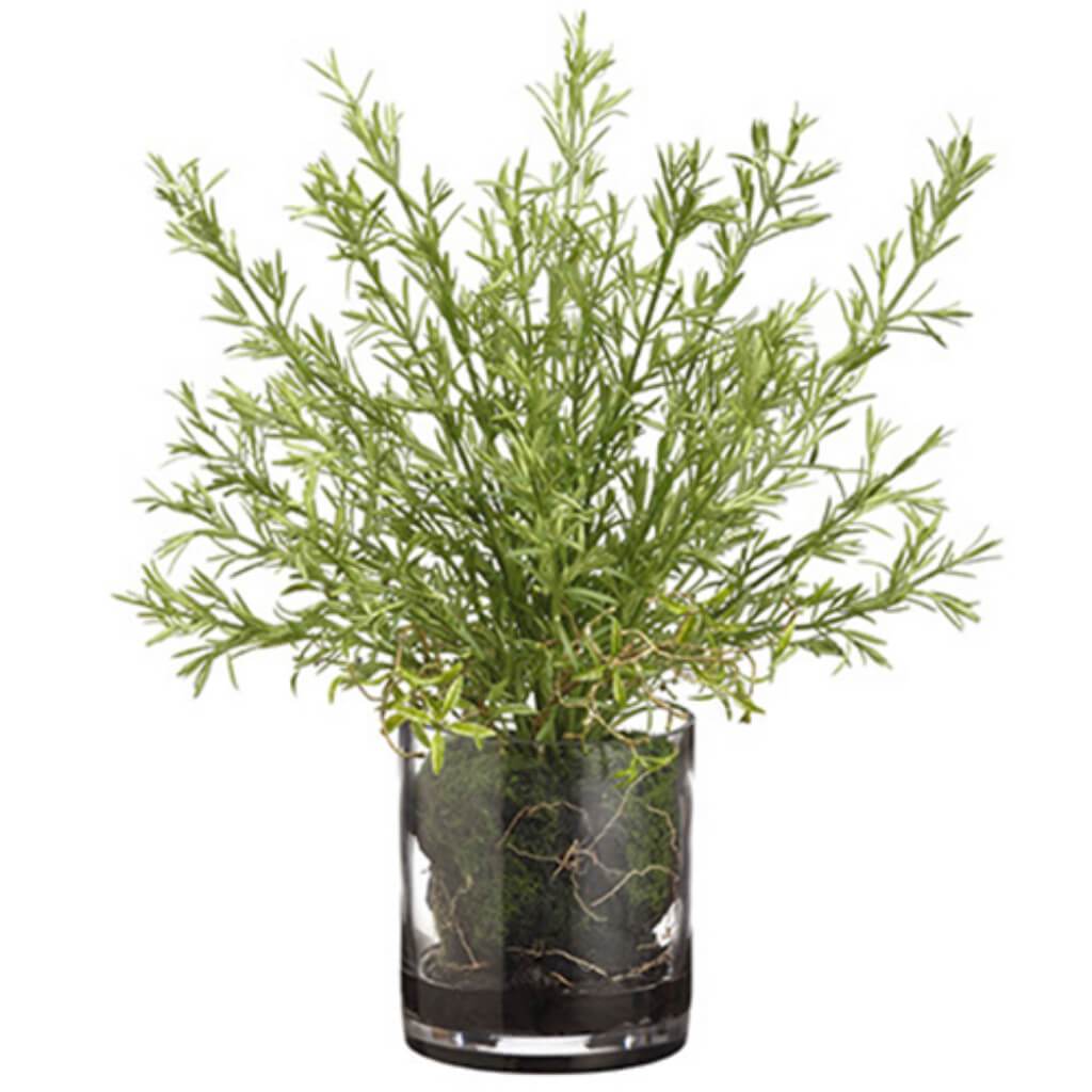 Rosemary/Soil (V) 15H9W9&quot;L 