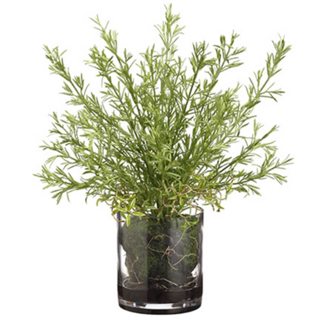 Rosemary/Soil (V) 15H9W9"L 