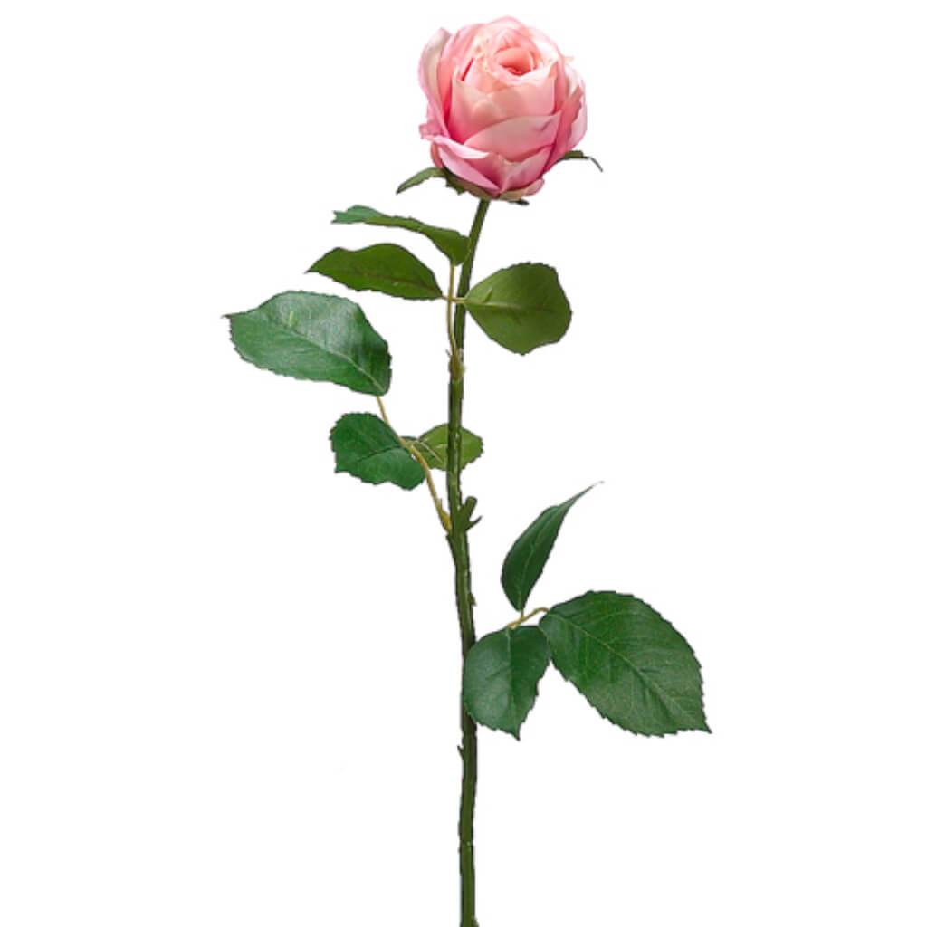 Cottage Rose Bud Spray 26in, Two Tone Rose
