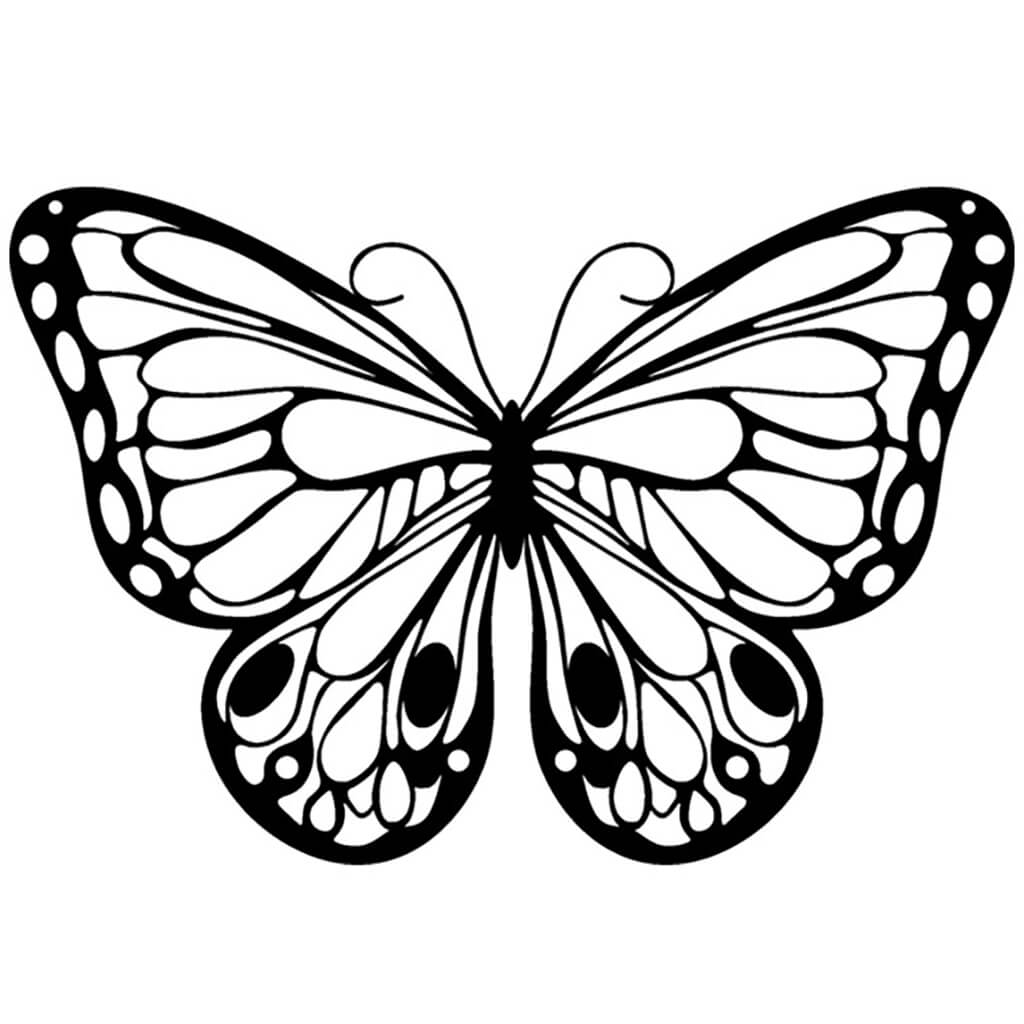 Silhouette Stencil 6in x 6in Roman Butterfly