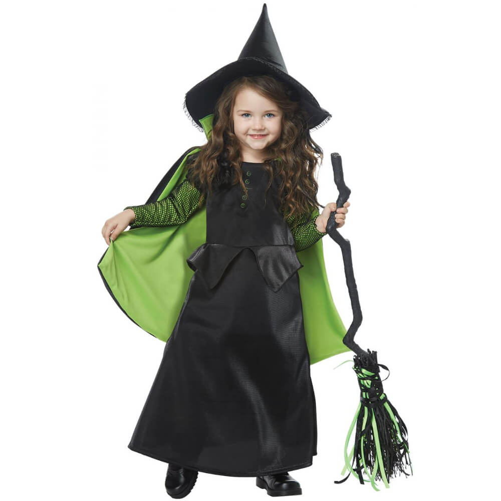 Wicked Witch Costume