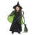 Wicked Witch Costume